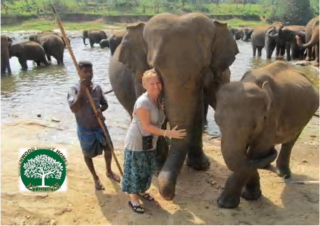 Greenwood Kandy Homestay Dış mekan fotoğraf