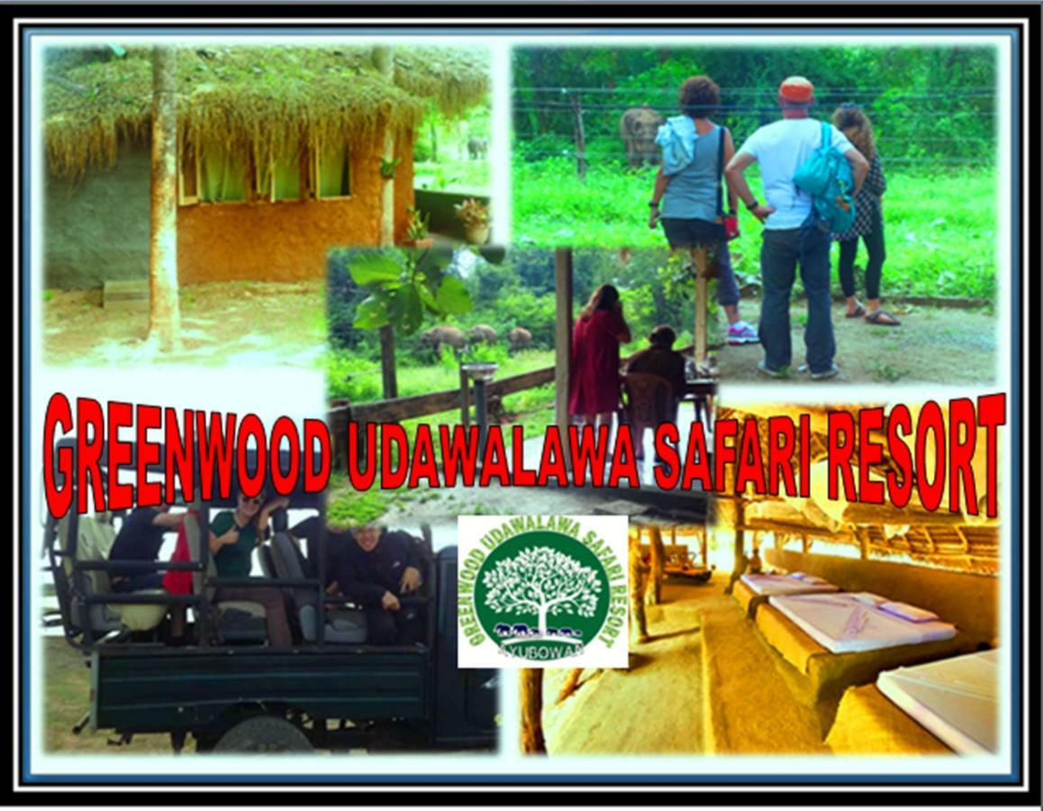 Greenwood Kandy Homestay Dış mekan fotoğraf