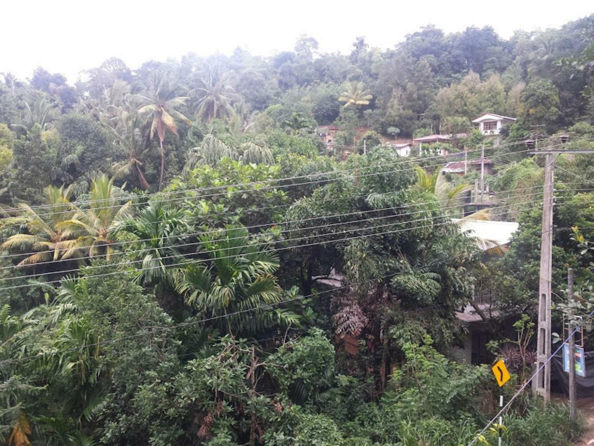 Greenwood Kandy Homestay Dış mekan fotoğraf