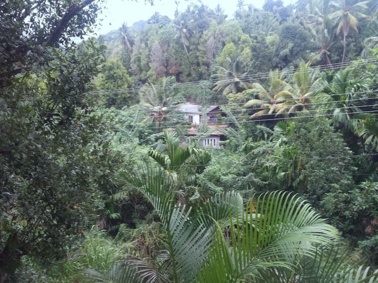 Greenwood Kandy Homestay Dış mekan fotoğraf